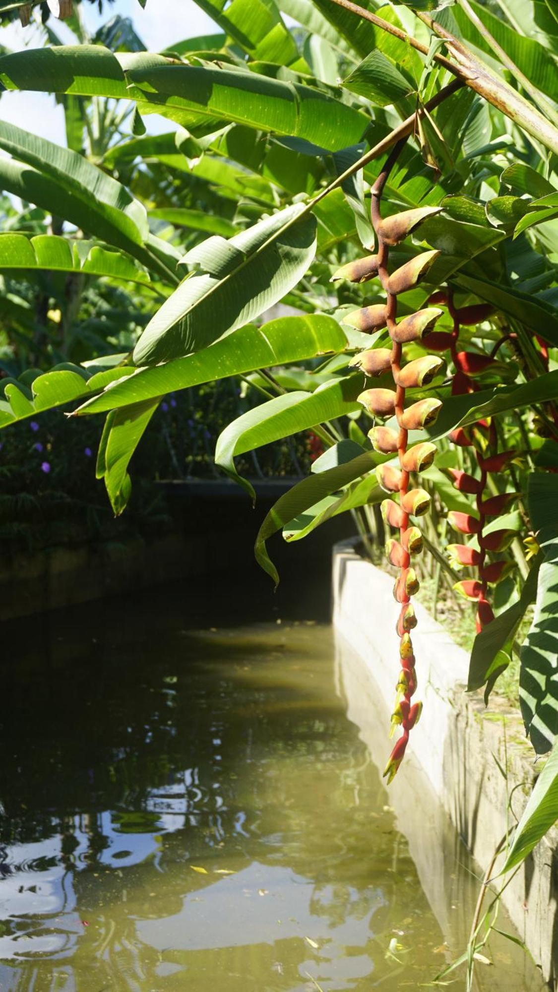 Eco Village Phong Nha