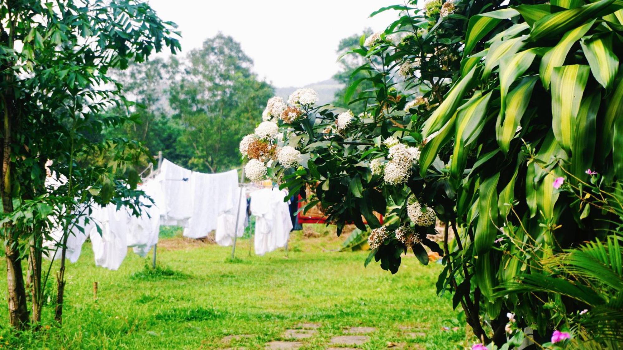 Lodge Eco Village