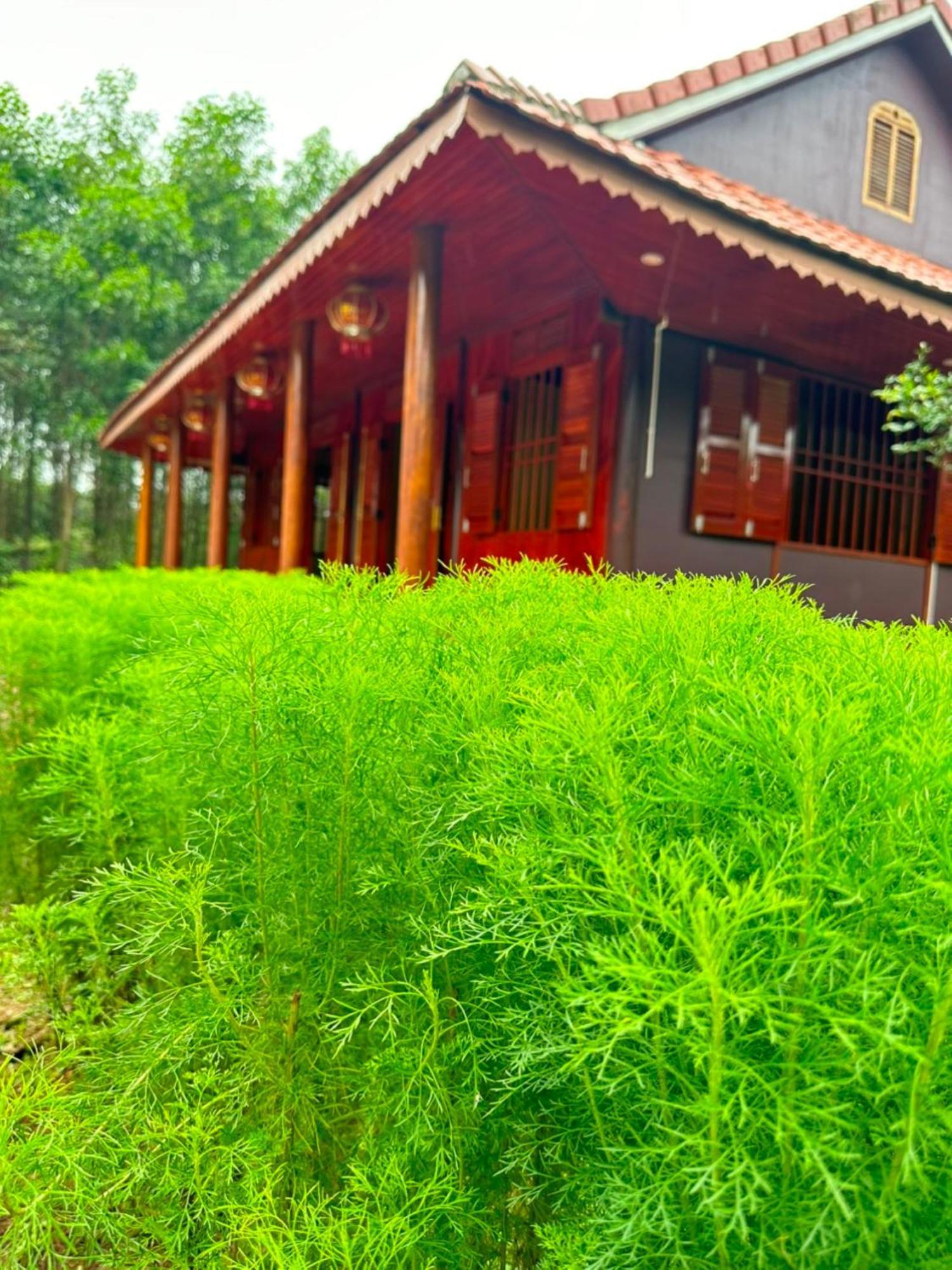 Eco Village * Phong Nha