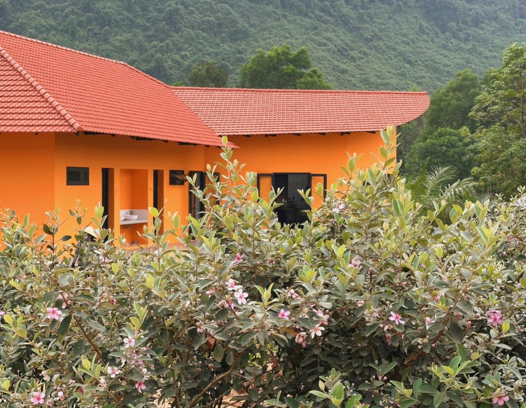 Lodge Eco Village