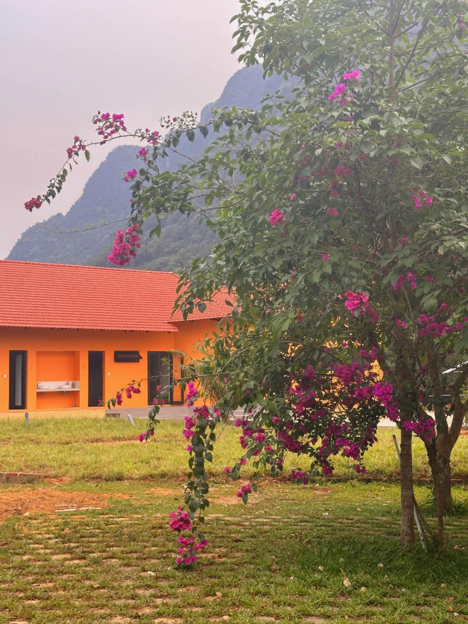 Eco Village * Phong Nha