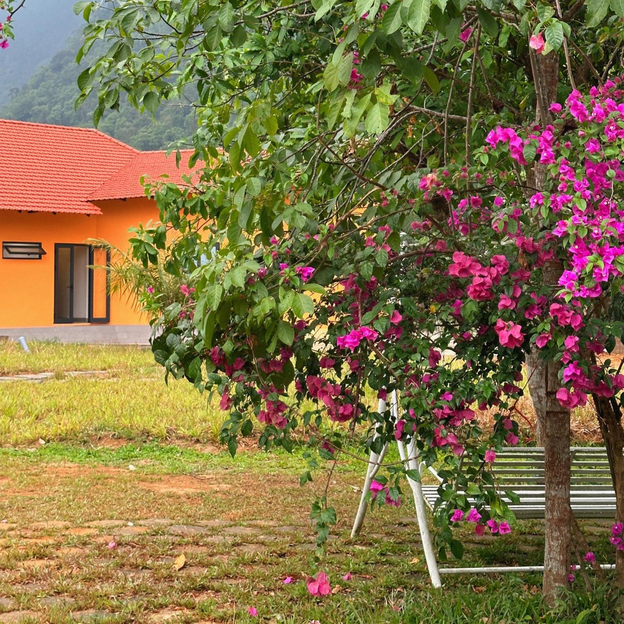 Eco Village Phong Nha